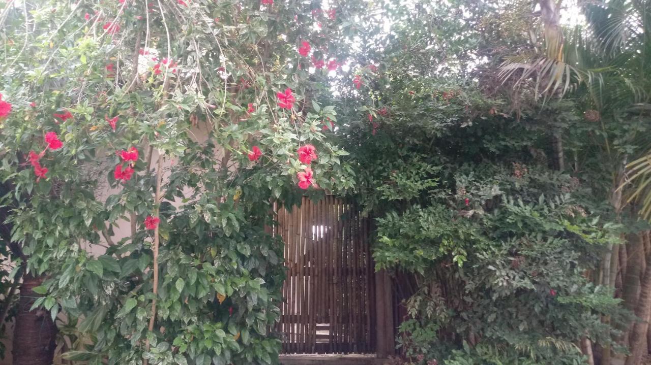 فيلا La Tropezina Búzios المظهر الخارجي الصورة